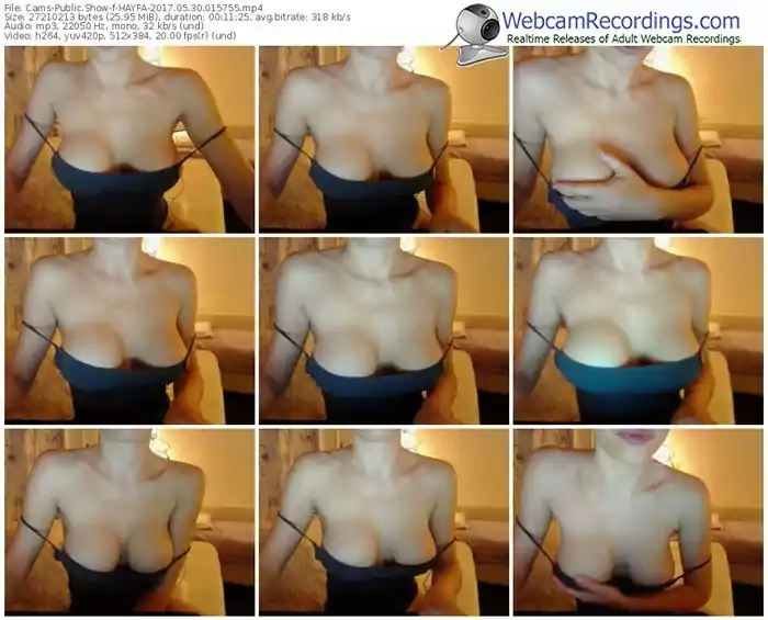 cams-hayfa-webcam-show-05_30_2017-01_57_55