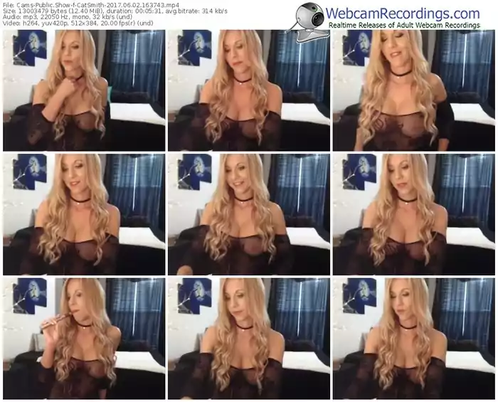 cams-catsmith-webcam-show-06_02_2017-16_37_43