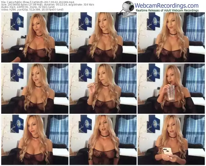 cams-catsmith-webcam-show-06_02_2017-20_22_49
