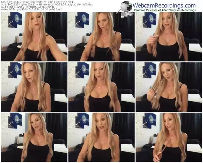 cams-catsmith-webcam-show-06_09_2017-01_55_32