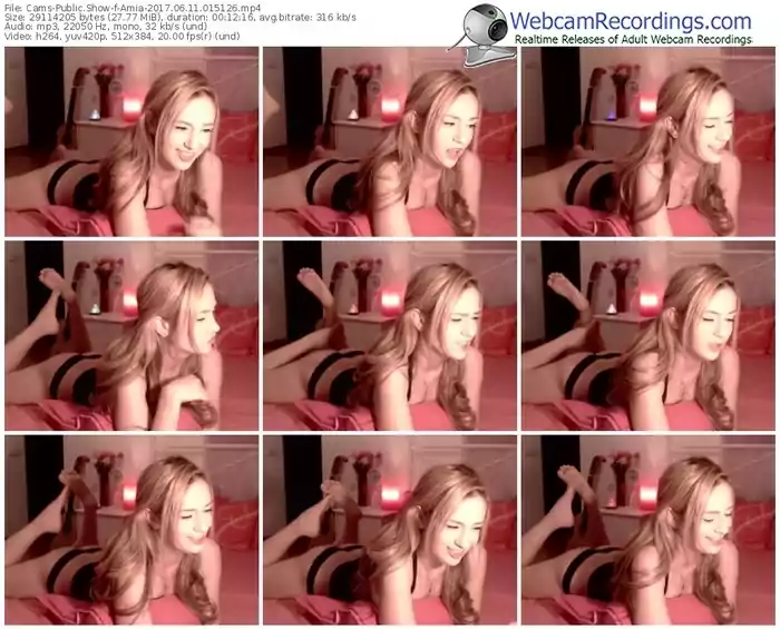 cams-amia-webcam-show-06_11_2017-01_51_26