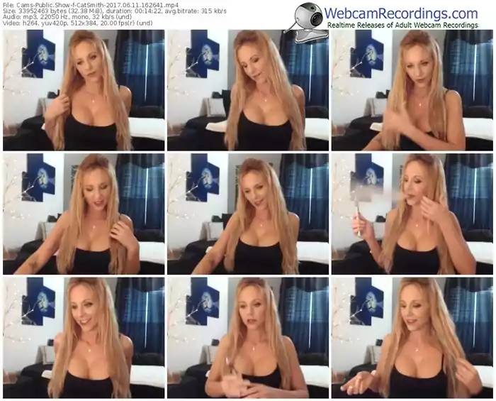 cams-catsmith-webcam-show-06_11_2017-16_26_41