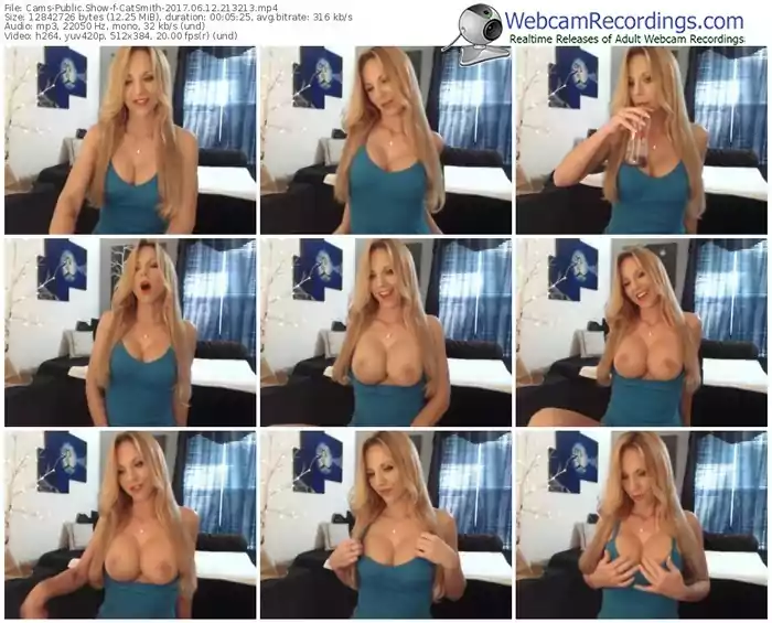 cams-catsmith-webcam-show-06_12_2017-21_32_13