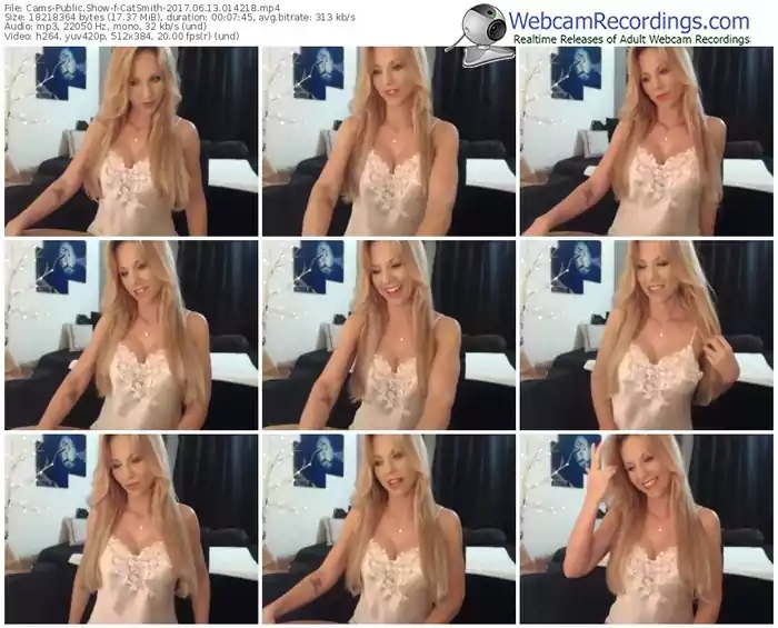 cams-catsmith-webcam-show-06_13_2017-01_42_18