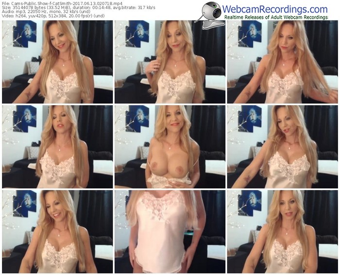 cams-catsmith-webcam-show-06_13_2017-02_07_18