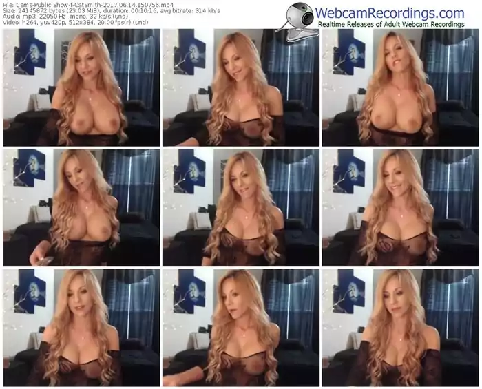 cams-catsmith-webcam-show-06_14_2017-15_07_56