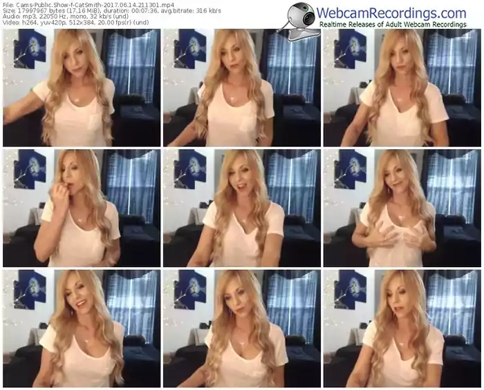 cams-catsmith-webcam-show-06_14_2017-21_13_01