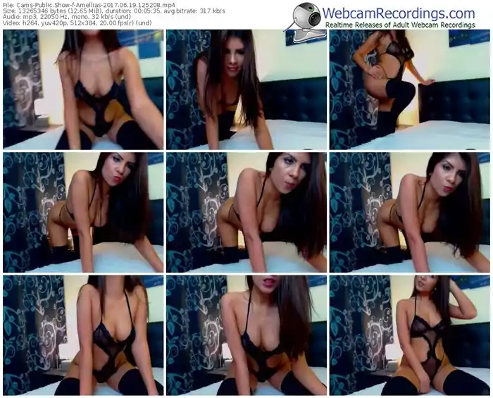 cams-amellias-webcam-show-06_19_2017-12_52_08