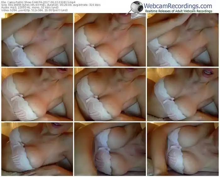 cams-hayfa-webcam-show-06_22_2017-03_18_13