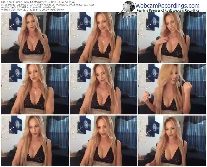cams-catsmith-webcam-show-06_23_2017-16_43_51