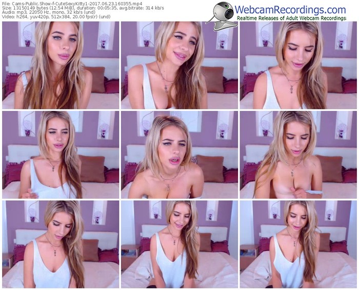 cams-cutesexykitty1-webcam-show-06_23_2017-16_03_55