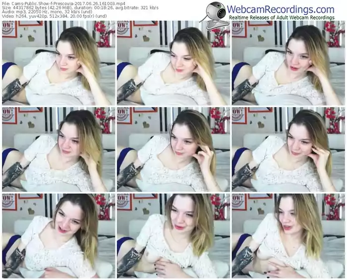 cams-prescovia-webcam-show-06_26_2017-16_10_03