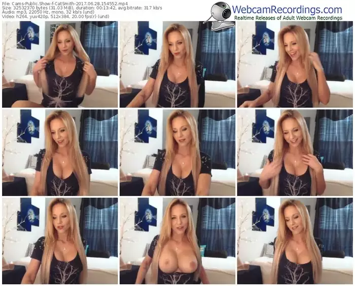 cams-catsmith-webcam-show-06_28_2017-15_45_52