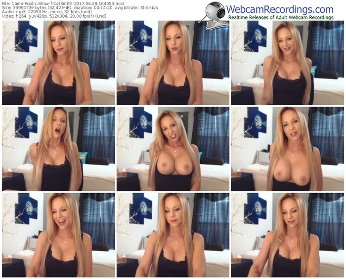 cams-catsmith-webcam-show-06_28_2017-16_40_53