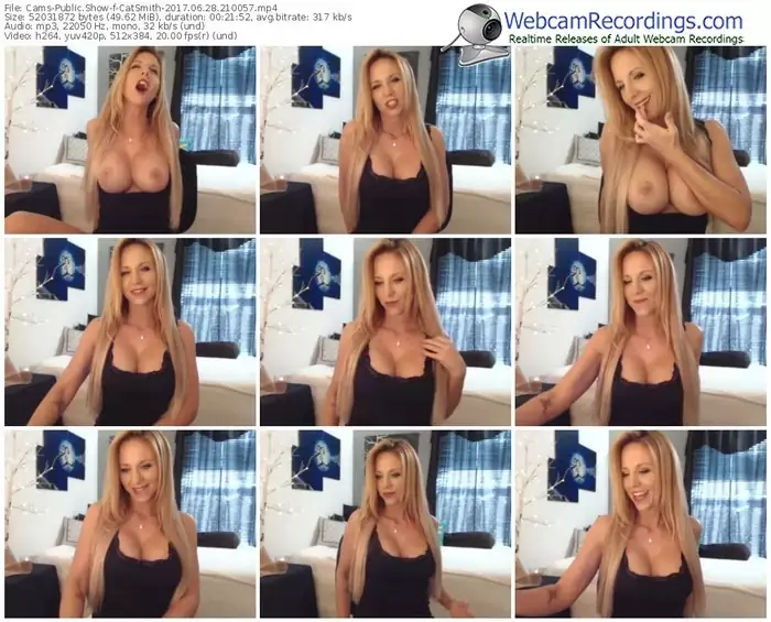 cams-catsmith-webcam-show-06_28_2017-21_00_57