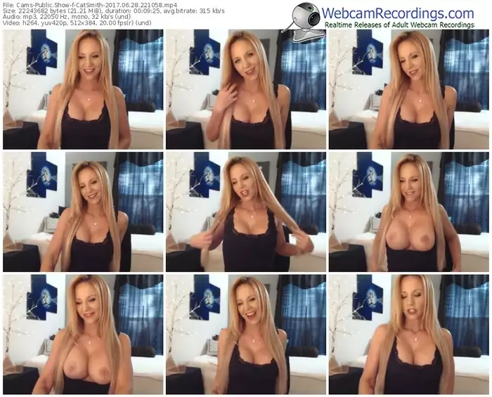 cams-catsmith-webcam-show-06_28_2017-22_10_58