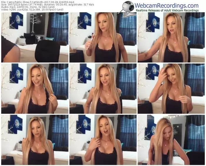 cams-catsmith-webcam-show-06_28_2017-22_40_59