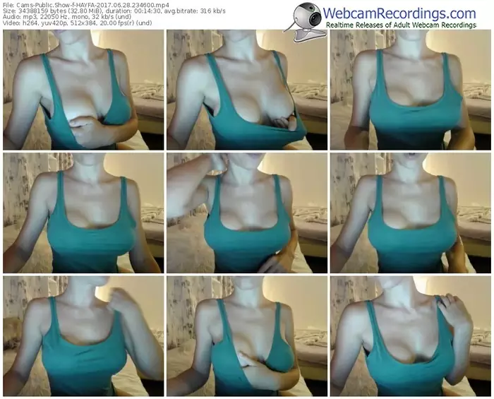 cams-hayfa-webcam-show-06_28_2017-23_46_00