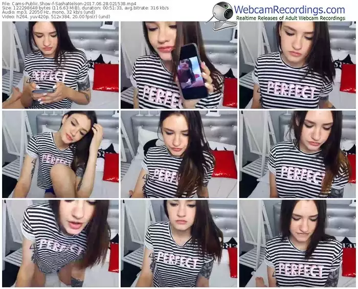 cams-sashanelson-webcam-show-06_28_2017-02_15_38
