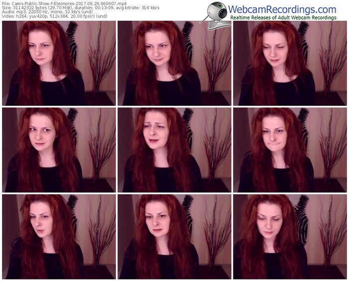cams-eleonores-webcam-show-06_29_2017-06_06_07