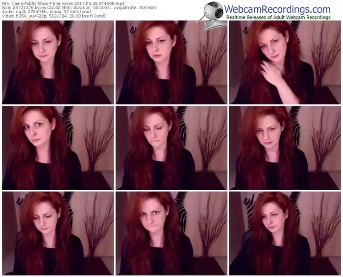 cams-eleonores-webcam-show-06_29_2017-07_46_08