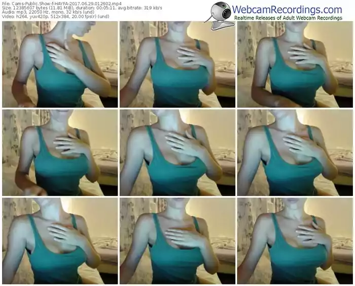 cams-hayfa-webcam-show-06_29_2017-01_26_02