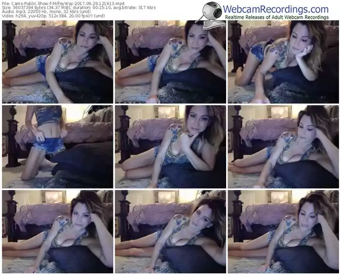 cams-milfeyway-webcam-show-06_29_2017-12_16_13