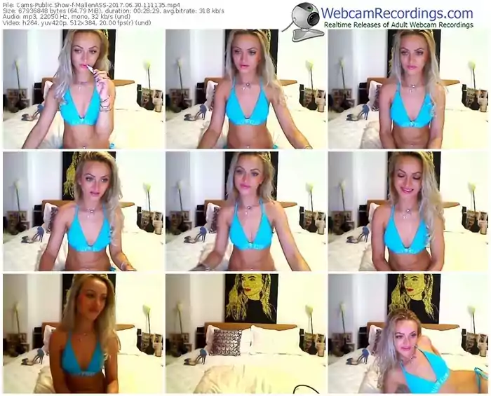 cams-mallenass-webcam-show-06_30_2017-11_11_35
