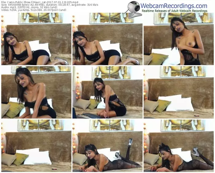 cams-maxci_cat-webcam-show-07_01_2017-13_12_05