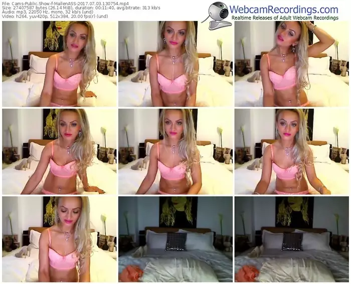 cams-mallenass-webcam-show-07_03_2017-13_07_54