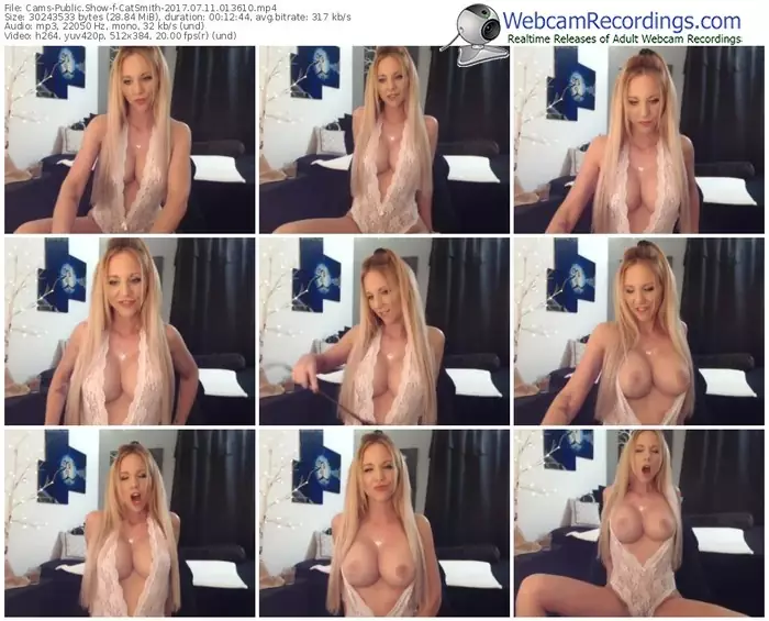 cams-catsmith-webcam-show-07_11_2017-01_36_10
