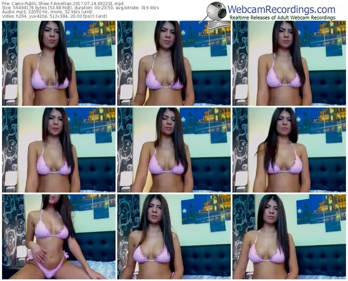 cams-amellias-webcam-show-07_14_2017-09_22_31