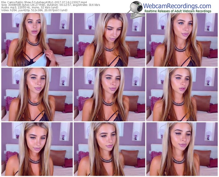 cams-cutesexykitty1-webcam-show-07_16_2017-12_33_27