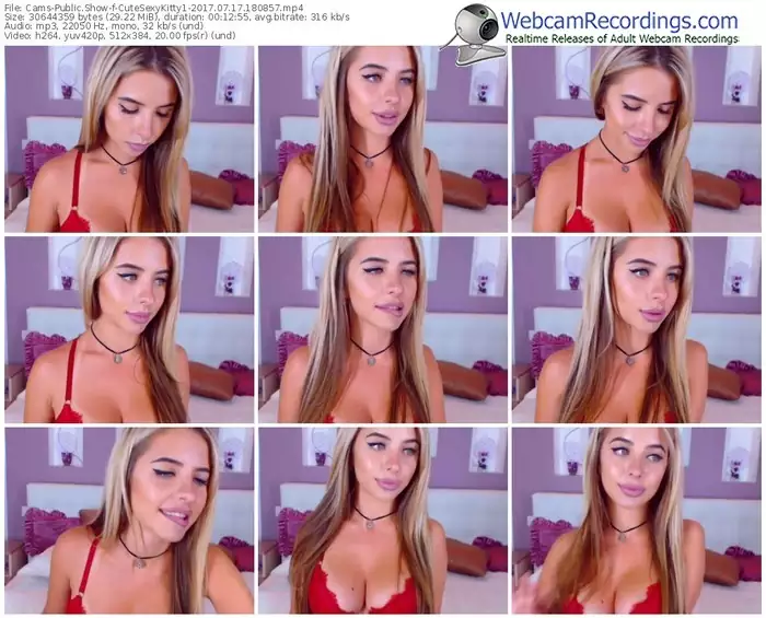 cams-cutesexykitty1-webcam-show-07_17_2017-18_08_57