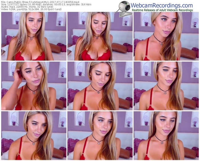 cams-cutesexykitty1-webcam-show-07_17_2017-18_33_59