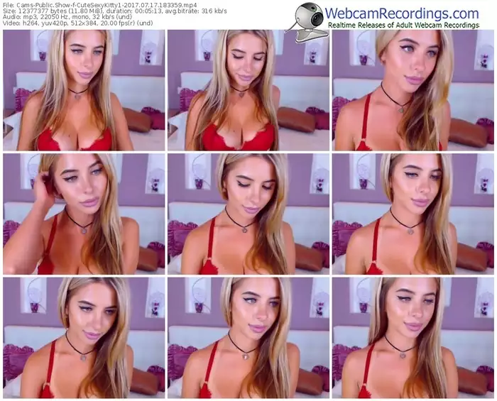 cams-cutesexykitty1-webcam-show-07_17_2017-18_33_59