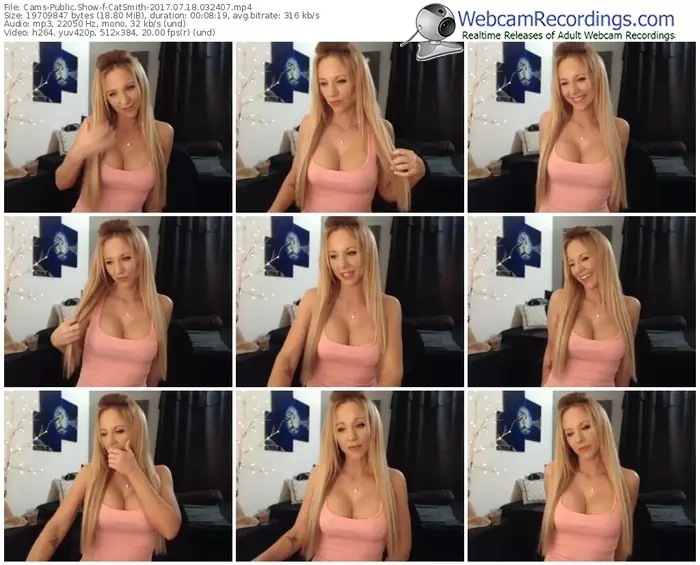 cams-catsmith-webcam-show-07_18_2017-03_24_07