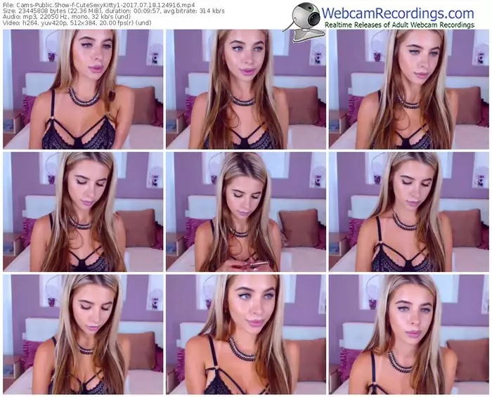 cams-cutesexykitty1-webcam-show-07_18_2017-12_49_16