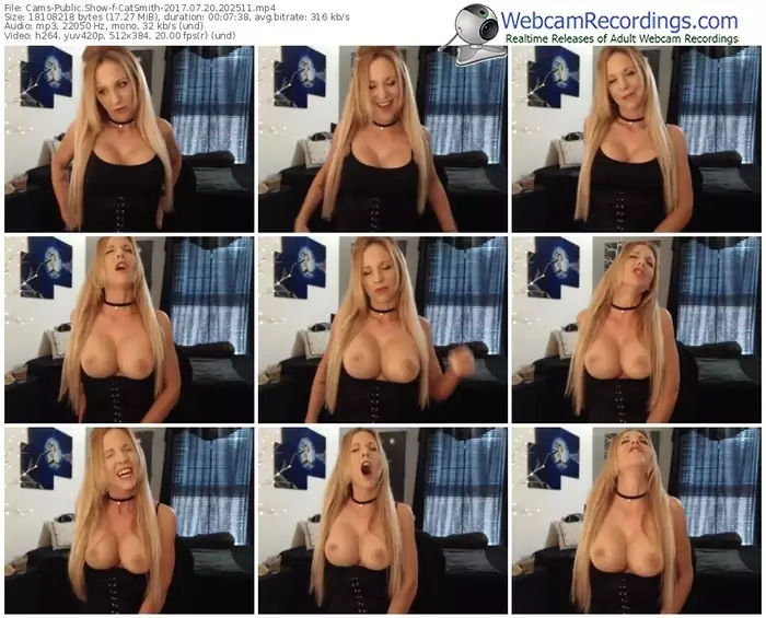 cams-catsmith-webcam-show-07_20_2017-20_25_11