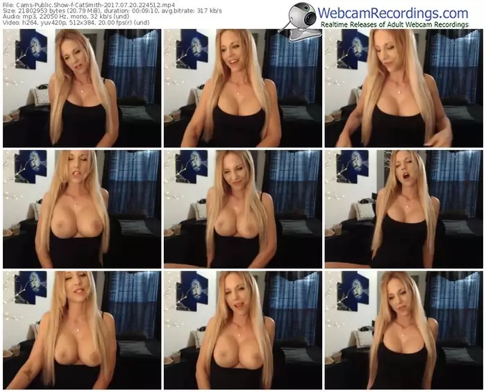 cams-catsmith-webcam-show-07_20_2017-22_45_12