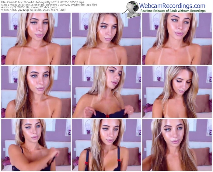 cams-cutesexykitty1-webcam-show-07_25_2017-13_35_02