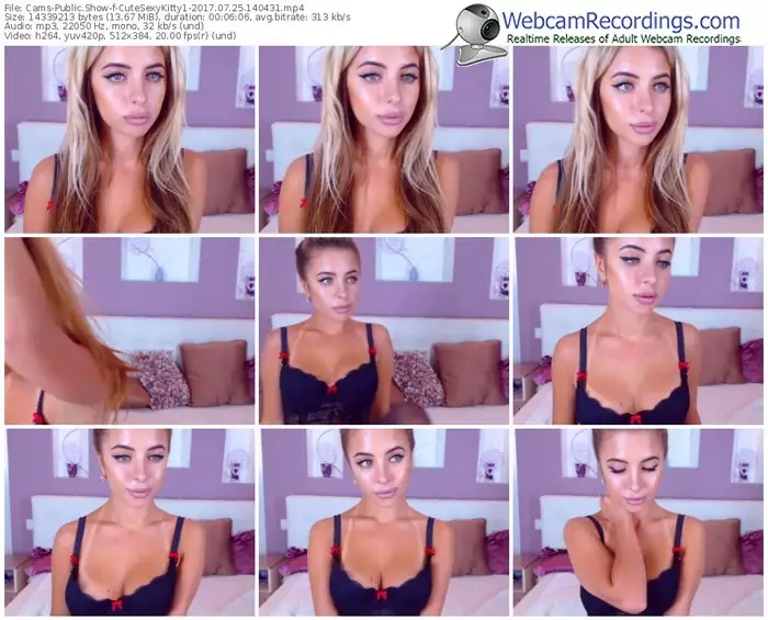cams-cutesexykitty1-webcam-show-07_25_2017-14_04_31