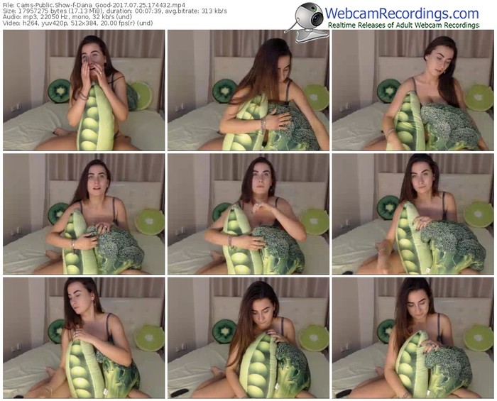 cams-dana_good-webcam-show-07_25_2017-17_44_32