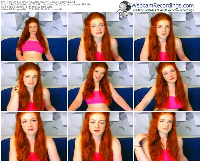 cams-foxienicole-webcam-show-07_25_2017-23_29_34