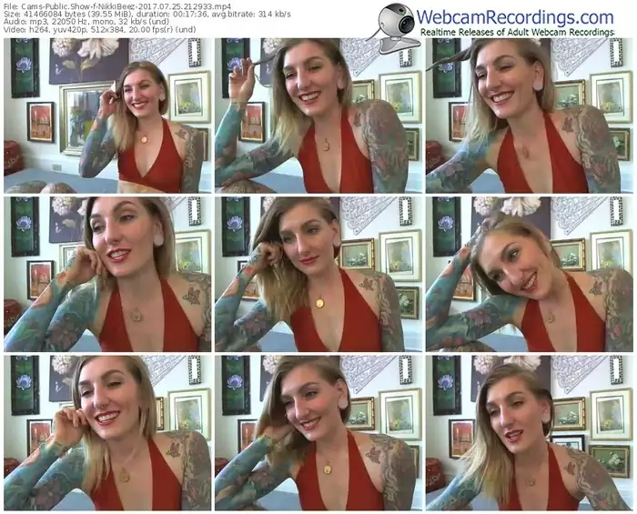 cams-nikkibeez-webcam-show-07_25_2017-21_29_33