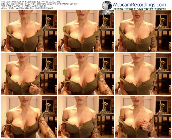 cams-scarleett-webcam-show-07_25_2017-03_29_27