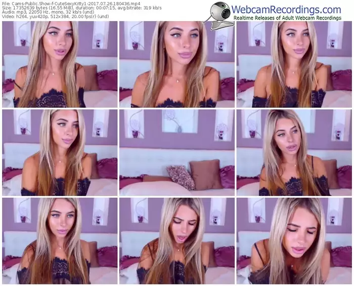 cams-cutesexykitty1-webcam-show-07_26_2017-18_04_36
