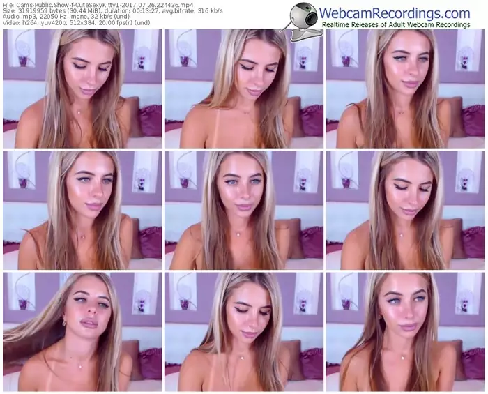 cams-cutesexykitty1-webcam-show-07_26_2017-22_44_36