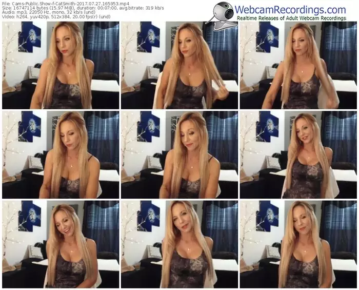 cams-catsmith-webcam-show-07_27_2017-16_59_53