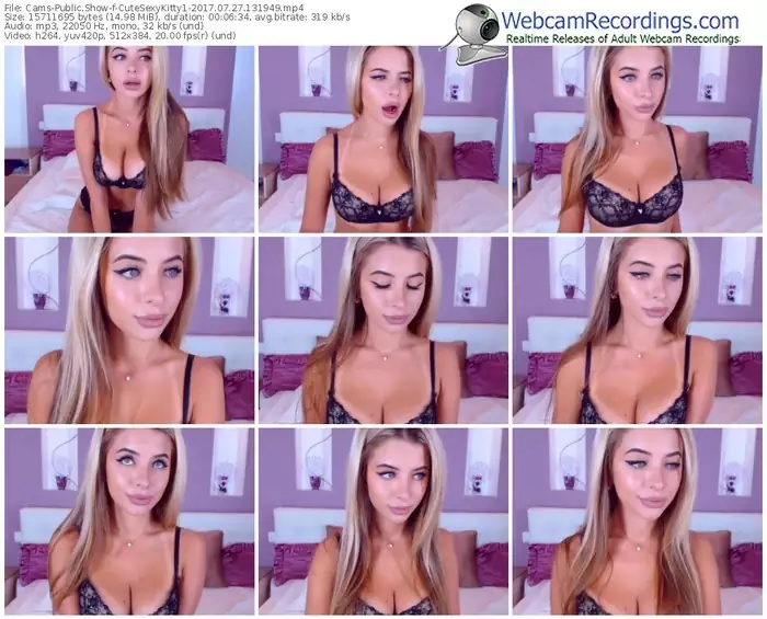 cams-cutesexykitty1-webcam-show-07_27_2017-13_19_49